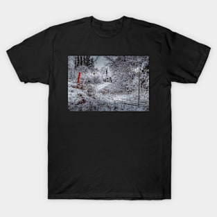 Snow Tracks 2 T-Shirt